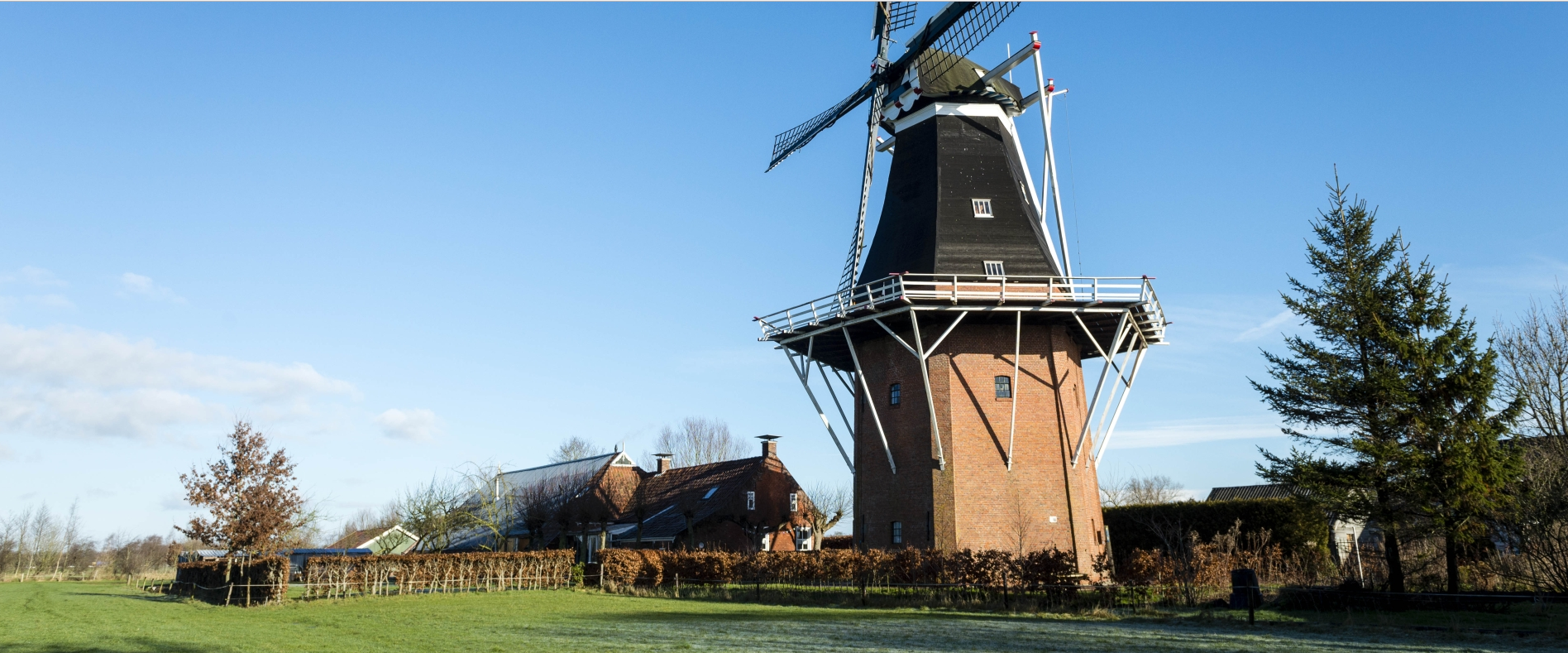 Nederlands vertaalbureau